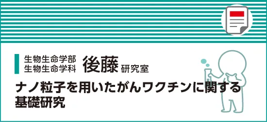 ナノ粒子を用いたがんワクチンに関する基礎研究