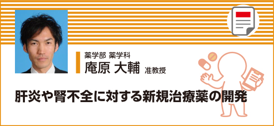 肝炎や腎不全に対する新規治療薬の開発