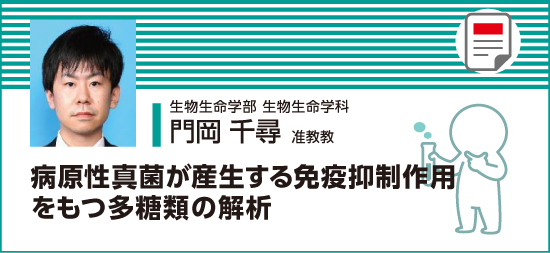 病原性真菌が産生する免疫抑制作用をもつ多糖類の解析