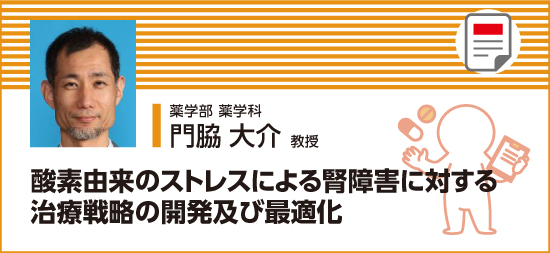 酸素由来のストレスによる腎障害に対する治療戦略の開発及び最適化