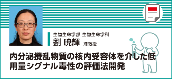 内分泌錯乱物質の核内容受容体の介した低用量シグナル毒性の評価法開発