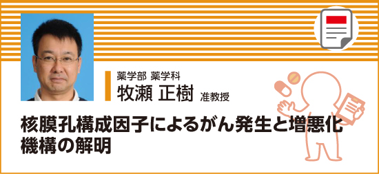 核膜孔構成因子によるがん発生と増悪化機構の解明