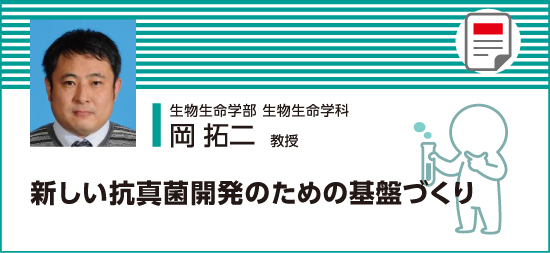 新しい抗真菌開発のための基盤づくり