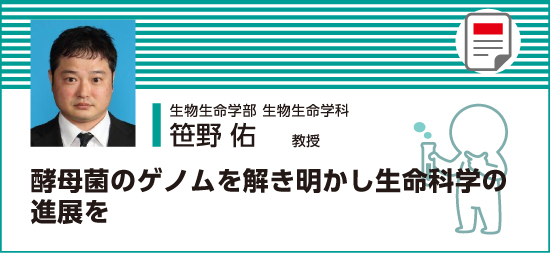 酵母菌のゲノムを解き明かし生命科学の進展を