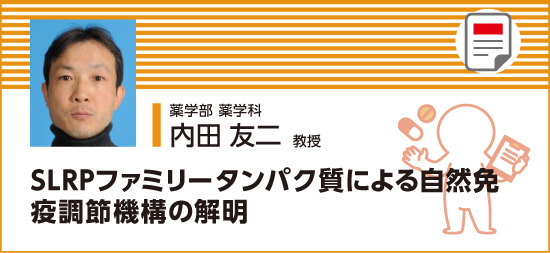 SLRPファミリータンパク質による自然免疫調節機構の解明