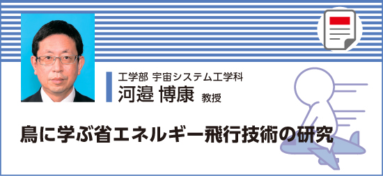 鳥に学ぶ省エネルギー飛行技術の研究