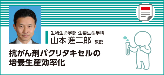 抗がん剤パクリタキセルの培養生産効率化