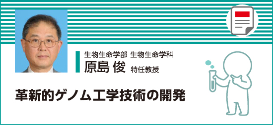 革新的ゲノム工学技術の開発